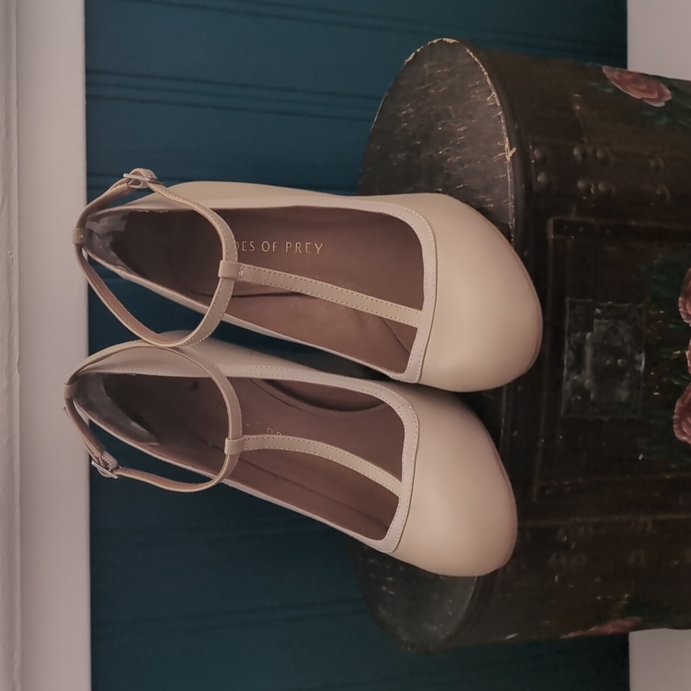 Shoes of Prey WW 6.5